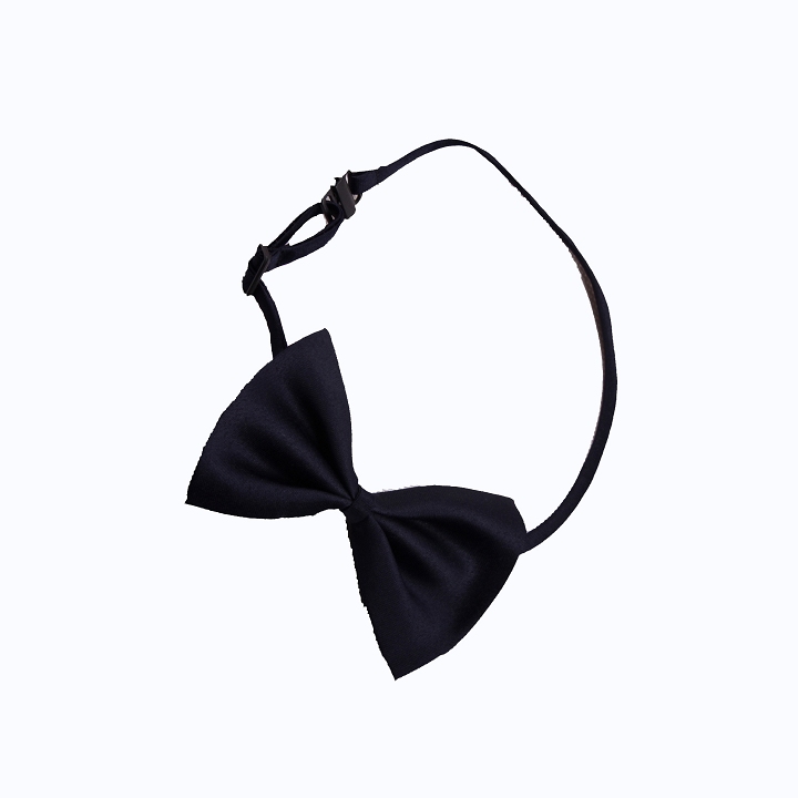 職業裝配飾 職業裝配飾