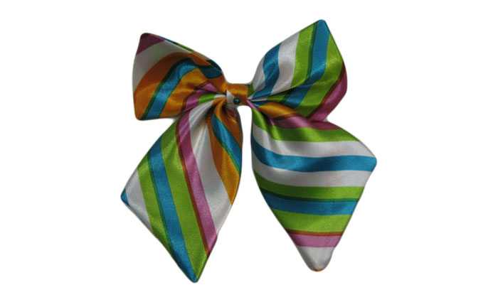 職業裝配飾 職業裝配飾