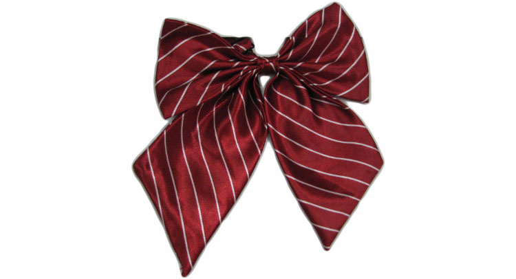 職業(yè)裝配飾 職業(yè)裝配飾