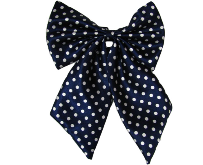 職業裝配飾 職業裝配飾