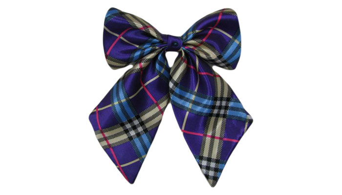 職業(yè)裝配飾 職業(yè)裝配飾