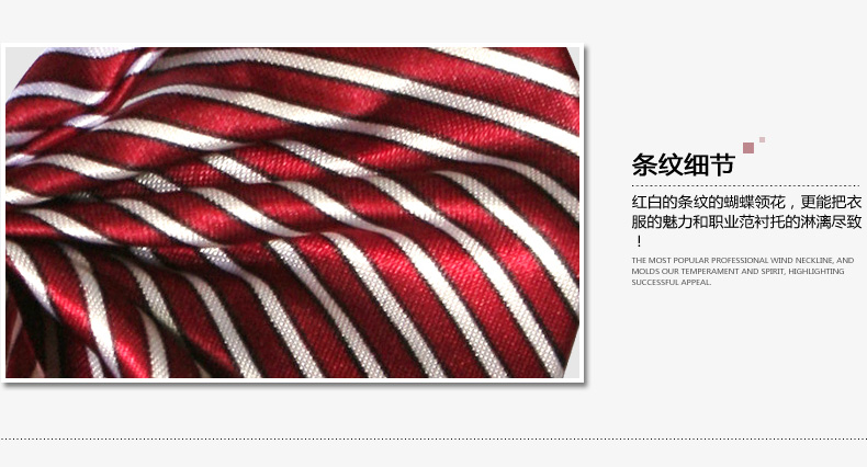 職業(yè)裝配飾 職業(yè)裝配飾