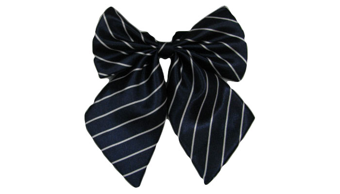 職業(yè)裝配飾 職業(yè)裝配飾