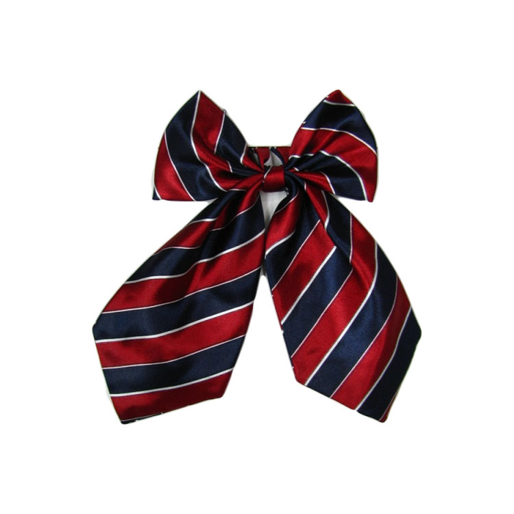 職業(yè)裝配飾 職業(yè)裝配飾