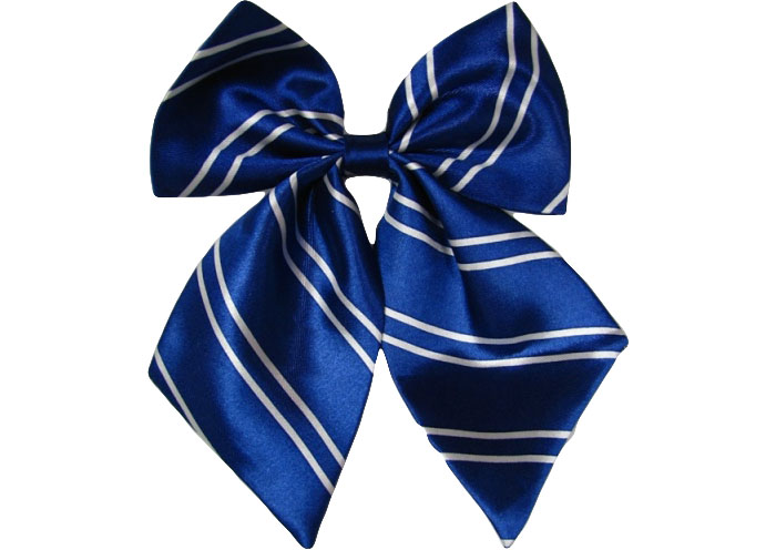 職業裝配飾 職業裝配飾