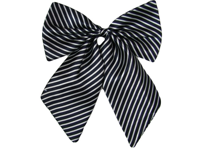 職業裝配飾 職業裝配飾