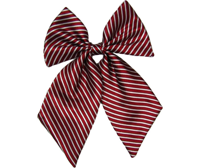 職業裝配飾 職業裝配飾