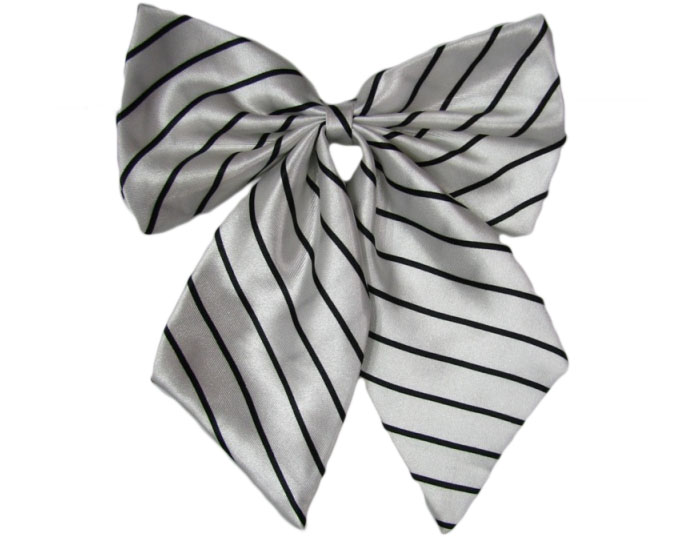 職業裝配飾 職業裝配飾